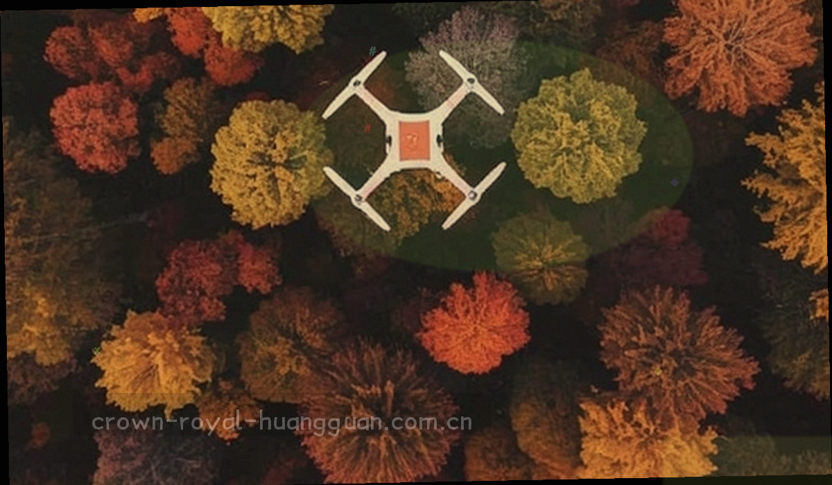 带编号与标签的文章卡片按网格排列的抽象示意图，深色底与金色细线